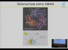 Master Biologie Santé – 20 octobre 2010 – Marie Luce Vignais -