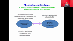 13/09/2022	15h30	16h30	Reproduction Fertilité Embryologie - CM6	Pr HAMAMAH Samir	Amphi Rabelais	DFGSM2