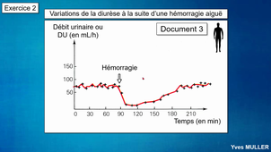 Rein et équilibre hydrique