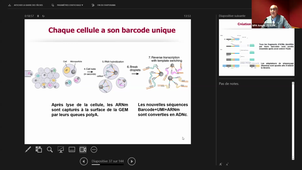 Organoïdes; Intégrité génétique des cellules souches_Saïd ASSOU