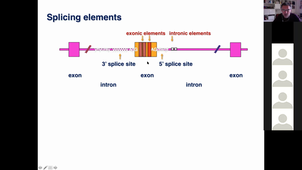 08042021_EpissageRegulation1