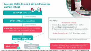 Journée Portes Ouvertes - 12 Févier 2022 - Conférence sur les voies d'accès aux filières de Santé