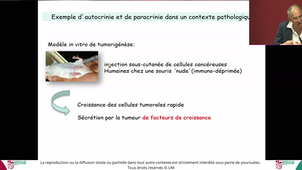 Pass UE3 ECUE3.1 -Bio Cell - Pr.Pujol - 17/11/2025