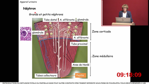 S1UESANTECOMMUNE_ECUE_1_Muller_26092023