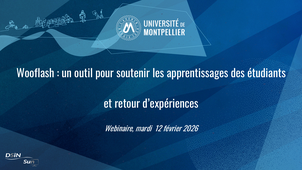 Wooflash : un outil pour soutenir les apprentissages des étudiants et retour d'expériences