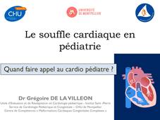 DUPEMG : Le souffle cardiaque - Grégoire De La Villéon