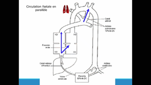 DFASM2 MIE Brotelande 07/09/2020