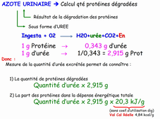 Dr Dalila Laoudj - UE Nutrition Principes fondamentaux de la bioénergétique audio 2020