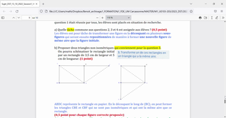 MEEF1_M1_FADH_UE103 DST1 - Commentaires / 2e partie : didactique