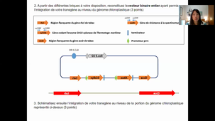 Exercice 5 et 6 HLBI512 Biotechnologies
