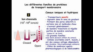CM3 Bio Cell Membranes Partie 2 2020_21