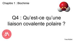 Chapitre 1 – Biochimie Q4 : Qu’est-ce qu’une liaison covalente polaire ?