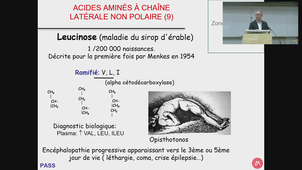 PASS - UE1 ECUE1.2 - Biochimie - Lehmann - 09/09/2026