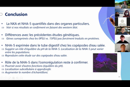Réunion du 7-7-2021