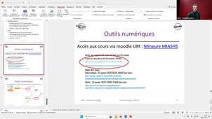 Présentation Mineures Disciplinaires: MIASHS
