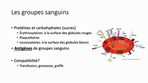Les bases de la transfusion sanguine - Dr A. Floc'h