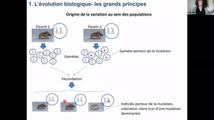 CM evolution partie 1