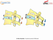 Theorie_Rachis_Lombaire_Anatomie_UPEC_2020