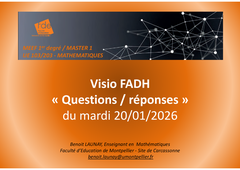 M1_UE203_Prop4 - Visio Questions-réponses du 20-01-2026.mp4