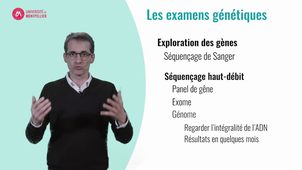 Génétique et TND - D. GENEVIEVE, Professeur PUPH, Généticien
