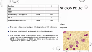 DFASM1 Hématologie 14 février