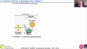 HLBE302-vidéoAmphi1.2