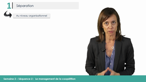 MOOC MAPS - S2V2 - Le management de la coopétition - Estelle Pellegrin Boucher