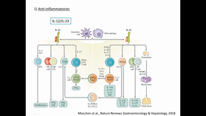UE Immunopathologie HMBS207 16/03/2021 14h-18h UPM3