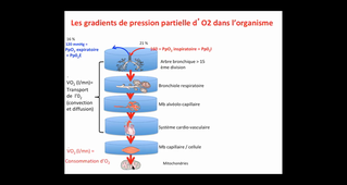 UE-HMBS121-cours1-master 1 Biologie Santé-Matecki
