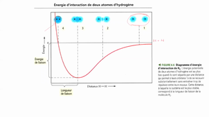 Chapitre 7_Interactions au sein d'un composé_Partie 1_Différentes types d'interaction entre deux atomes A et B en fonction de leur électronégativité