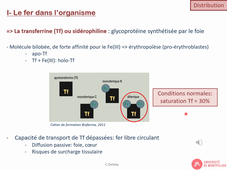 Métabolisme du fer et de l'hème_octobre2023_C.Delaby_hémato-bases fondamentales.mp4