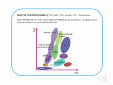 DFGSP2 Préparation TP1 d'Hématologie