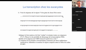 TD HAV509V 25/10/2022: Transcription 1 (MIC B)