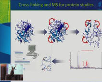 LABEX CheMiSyst Summer School - Gilles Subra - Methodological developments for the synthesis and analysis of biomolecules