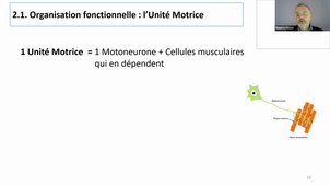 Pass Ecue PHG - Pr.Hayot - Partie 1 - 13.11.2025