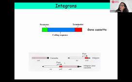 TU05 Bacterial genetics Alyssa Carré-Mlouka 12 12 2025.mp4