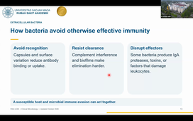 Immune Reponses to Bacteria and Fungi - M.Edwin WD - 08-10-2026.mp4