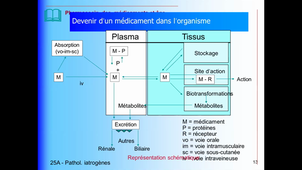 DFASM2 MIF 22/03/2021	16:00	18:00	Thérapeutiques antalgiques, médicamenteuses et non médicamenteuses; spécificités thérapeutiques de la personne âgée	JEANDEL C.	309		MIF