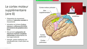 29/09/2022	10h	11h	Appareil neurosensoriel - CM16	Dr TAILLAND Marion	Amphi Rondelet	DFGSM2