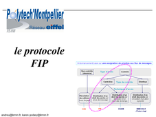 RLIRE - Cours sur le Protocole FIP