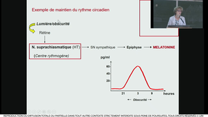 S1ECUE4_MULLER_3_10102022