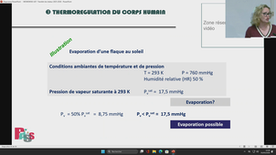 UE7 - Wisniewski - 05/04/2026