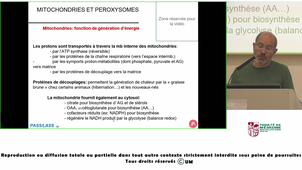 UE3_DELBECQ_20260923.m4v