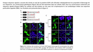 (29/09/2020) 16h ED UE2 PACES - Gatinois