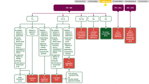 Cancer de la thyroïde _Dr M. Vinches.mp4