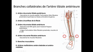 03/10/2022	08h	10h	Appareil locomoteur - CM10 anatomie	Dr KARL Guillaume	Amphi Rabelais	DFGSM2