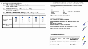 TP 5 en visio enregistrement.mp4