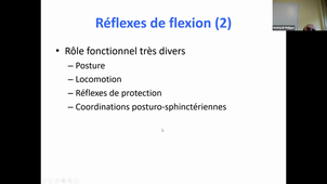 La spasticité : hyperactivité musculaire ou myopathie spastique ? - Pr Philippe Marque - Service MPR - CHU Rangueil toulouse