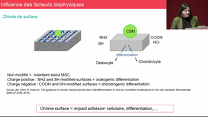 MAM2BTMR_M2S1_Pr.Morille_Ingénierie des tissus de soutien, biomatériaux et libération contrôlée de portéines/peptides_20/11/2024