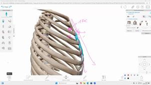 DFGSM3  UE Appareil respiratoire  CM2.3 Anatomie de la cage thoracique et du diaphragme Pr.Captier